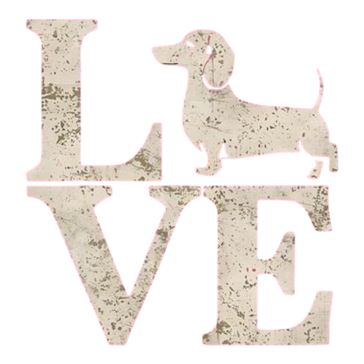 Dachshund