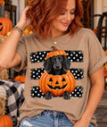 Pumpkin Dachshund