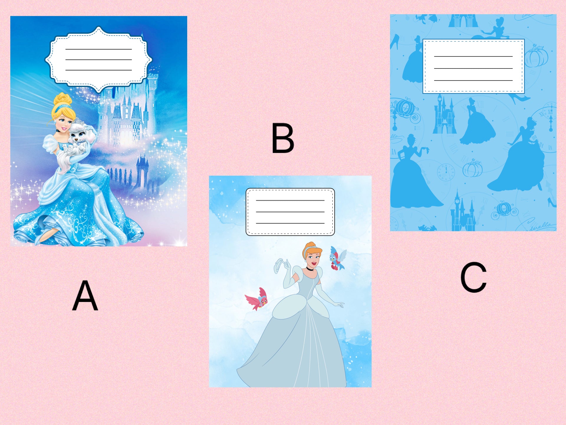 Cinderella Notebook / Cover